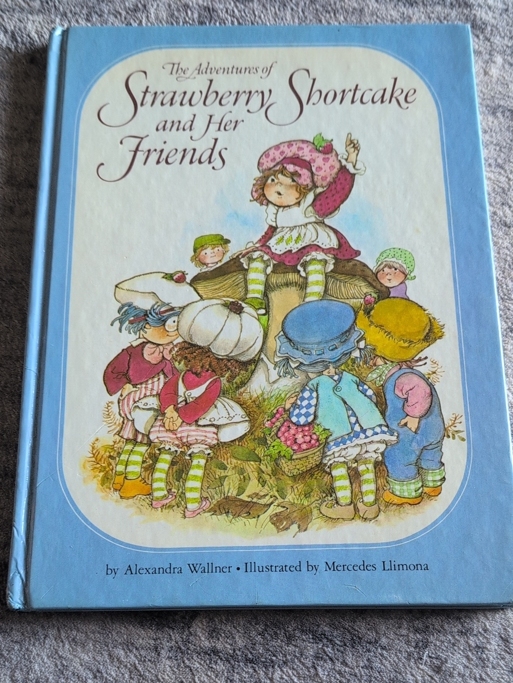 Strawberry Shortcake Kids Hardcover Story Book - Blue